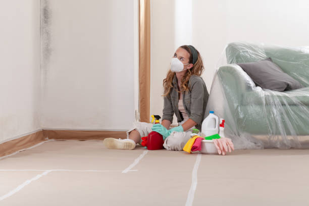 Reliable Basement Mold Remediation contractor in Pendleton, NC by Mold Remediation HQ